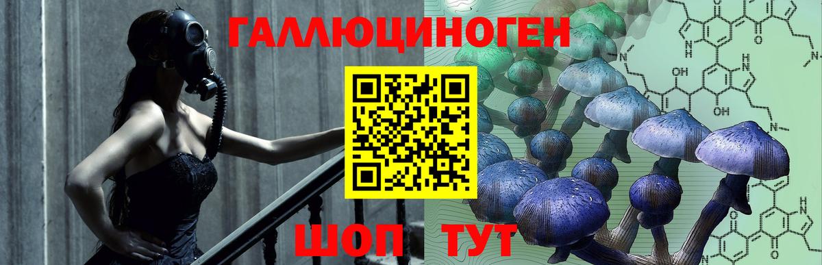 Псилоцибиновые грибы Psilocybe  Вход с VPN  Славгород  цены   Галлюциногенные грибы Psilocybe 